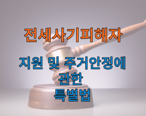 전세사기피해자 지원 및 주거안정에 관한 특별법