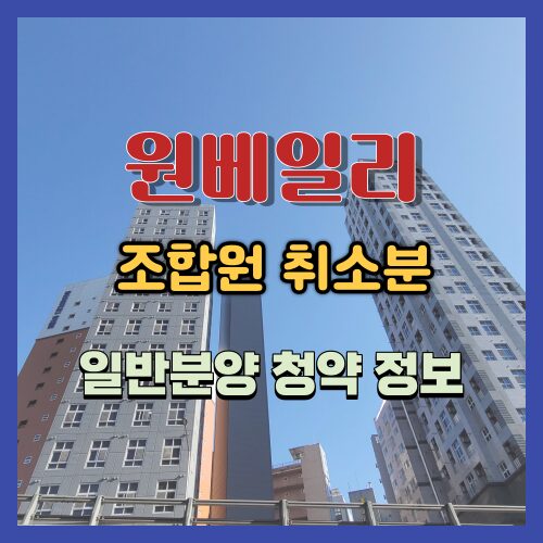 원베일리 조합취소분 청약